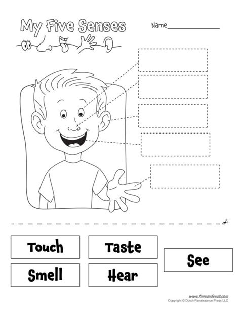 5-senses-worksheet - Tim's Printables