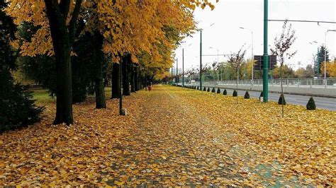 S a instalat toamna în România la munte vine iarna Prognoza meteo