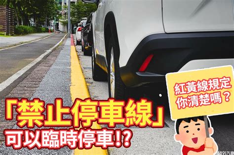 禁止臨停？禁止停車？紅線、黃線規則好難懂 8891新車