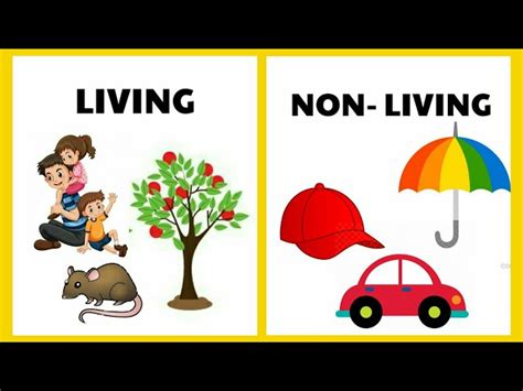 An Image Showing Clipart Of Living And Non Living Things 5889934