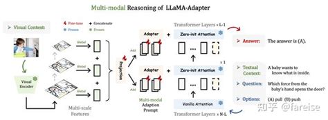 大模型时代：大模型llama的finetune方法 知乎