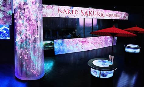 NAKED SAKURA AQUARIUM