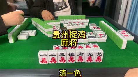 麻将，贵阳捉鸡麻将，左右都是放炮哔哩哔哩bilibili精彩集锦