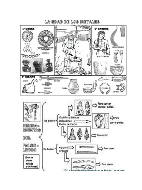 Evolución En La Historia 104 Pdf