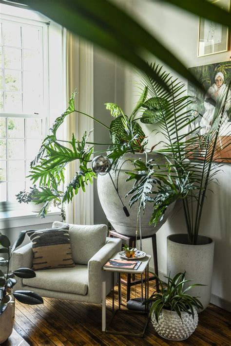 20 Aesthetic Plant Ideas That Room Make Instagramable HomeMydesign