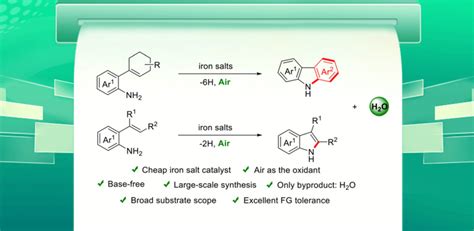 徐大振化学本科科研创新团队green Chem：铁催化分子内ch胺化合成nh咔唑和吲哚
