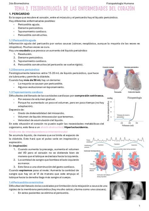 T Derma Pdf