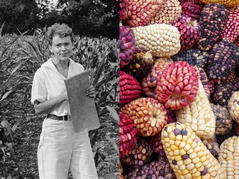 Biografía De Barbara Mcclintock Para Niños Experimentos Caseros Xyz