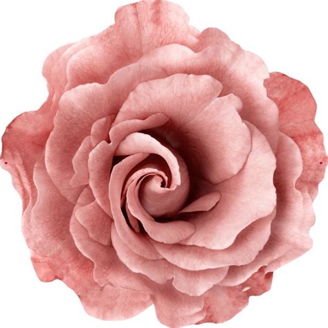 Jogo Americano Cor De Rosa Nude Elo7 Produtos Especiais