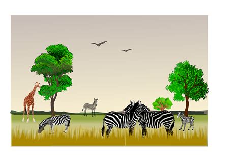 Wildlife Reserve Clipart Clipground