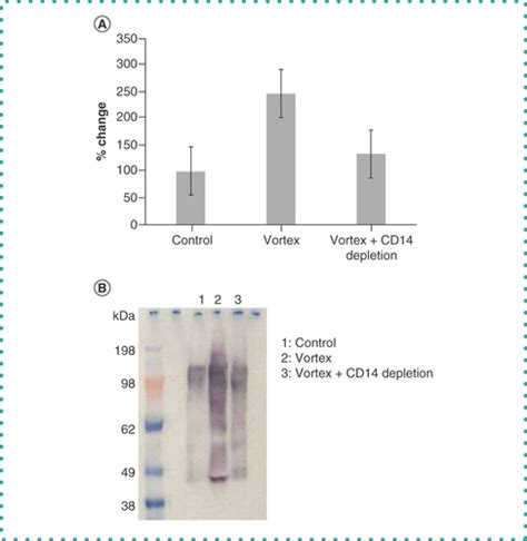 Full Article Antibody Mediated Soluble CD14 Stabilization Prevents