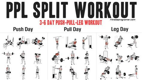 The Basics Of A Ppl Workout Routine A Step By Step Guide Push Pull