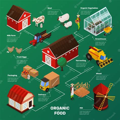 Diagrama De Flujo De Producción De Alimentos Agrícolas Vector Gratis