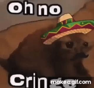 Oh no cringe (Mexican version) on Make a GIF