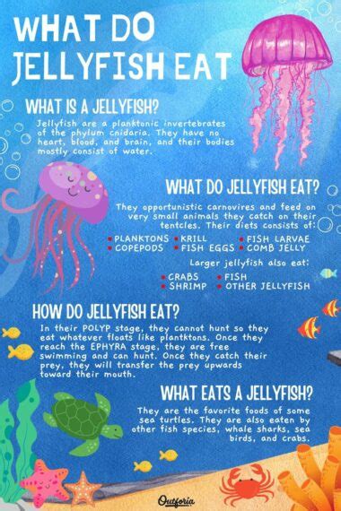 What Do Jellyfish Eat? The Truth Behind Their Diet