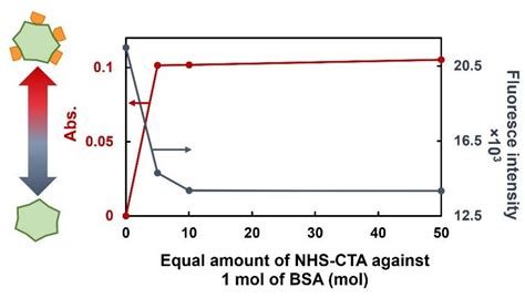 Temperature Responsive Polymer Conjugate Prepared By “grafting From” Proteins Toward The