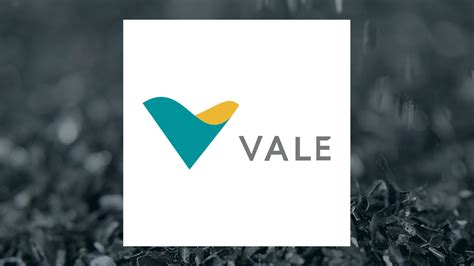 Vale S A NYSE VALE Shares Bought By Assetmark Inc ETF Daily News