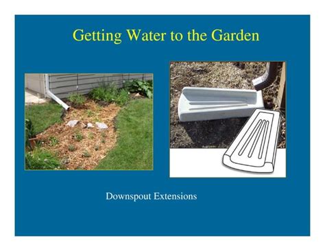 Rain Gardens For Home Drainage Help David Dods 06 09 12 Ppt