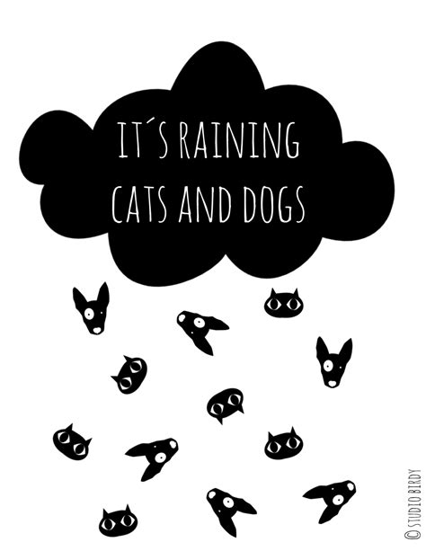 Where Does The Saying Raining Cats And Dogs