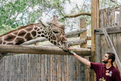 Preschool Zoo | Downtown Boise, ID