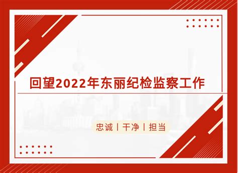 回望2022年东丽纪检监察工作（一）发展监督精神