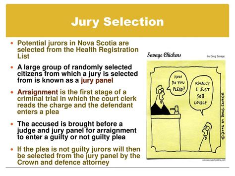 The Role Of The Jury Ppt Download