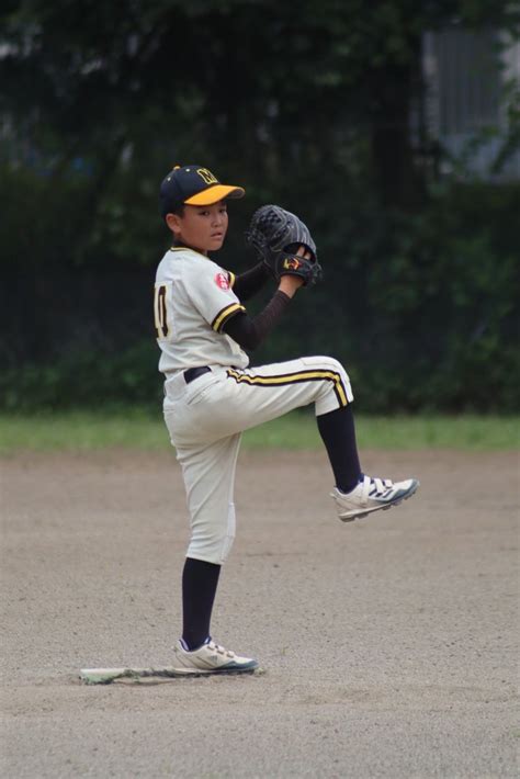 230618夏季大会、準決勝•決勝 〜秦野が変わった日〜 おさるの野球日記 〜北少年野球クラブモンキーズ 公式blog〜