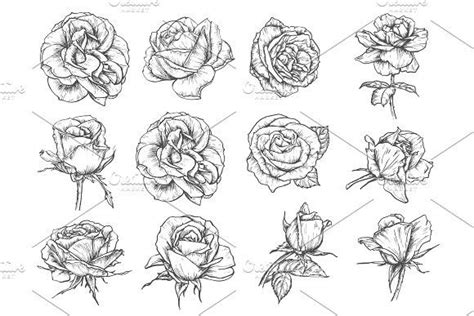 Vector Flowers Roses Sketch Icons