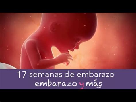 Todo Lo Que Necesitas Saber Sobre La Barriga De 17 Semanas De Embarazo