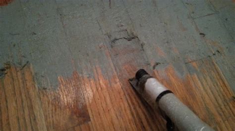 How To Clean Paint Off Hardwood Floor Flooring Tips