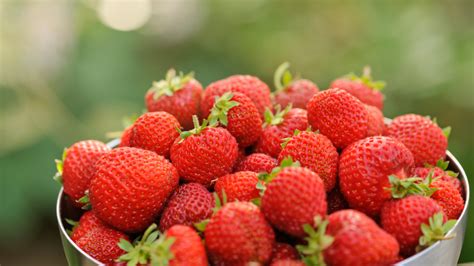 Different Types of Strawberry Varieties - An Expert Guide