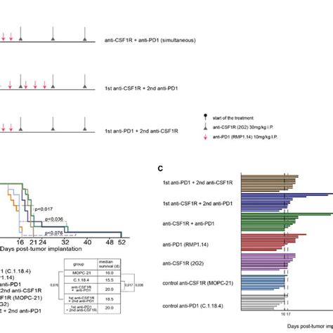 Simultaneous And Sequential Combinations Of PD1 And CSF1R Blockade In