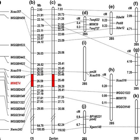 Comparison Of Genetics Linkage Map Of MlWE74a With Those Reported