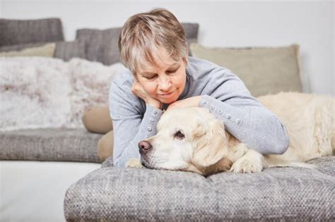 Seniors isolated in Florida will receive robotic therapy dogs