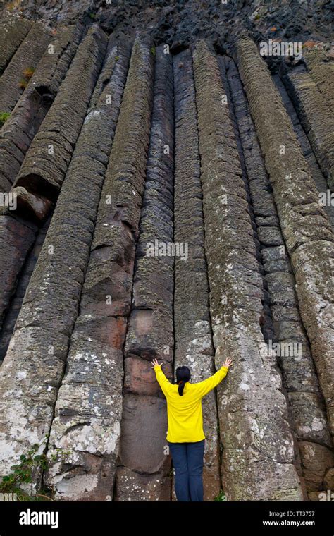 Organ Pipes Basalt Columns The Giants Causeway World Heritage Site