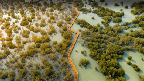 Jubail Mangrove Park In Abu Dhabi United Arab Emirates Bing Gallery