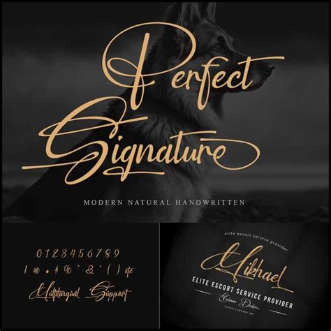 20+ Best Signature Fonts | Sign Your Name In Style