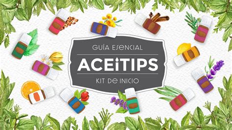 Aceitips Gu A Informativa Del Kit De Inicio De Aceites Esenciales