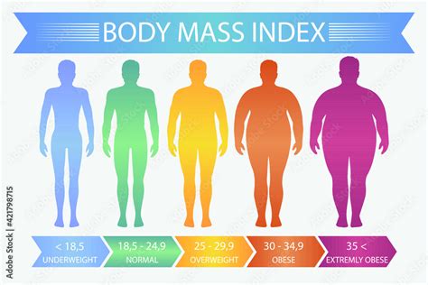 Stockvector Man Body Mass Index Vector Fitness Bmi Chart With Male