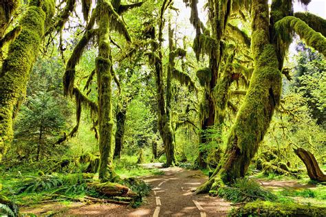 14 Best Natural Wonders In Washington Take A Road Trip Through