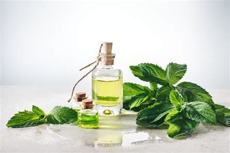 Етерично масло от Мента Пиперита – Peppermint oil – The Roses Valley
