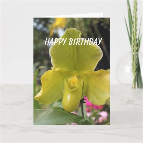 happy birthday orchids pictures - Kris Lemon