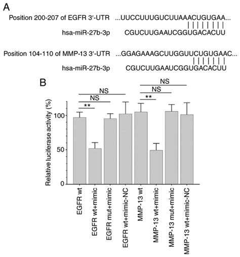 Microrna‑27b‑3p Inhibits The Proliferation And Invasion Of Cutaneous