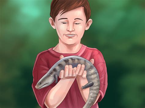 How to Care for a Skink: 13 Steps (with Pictures) - wikiHow