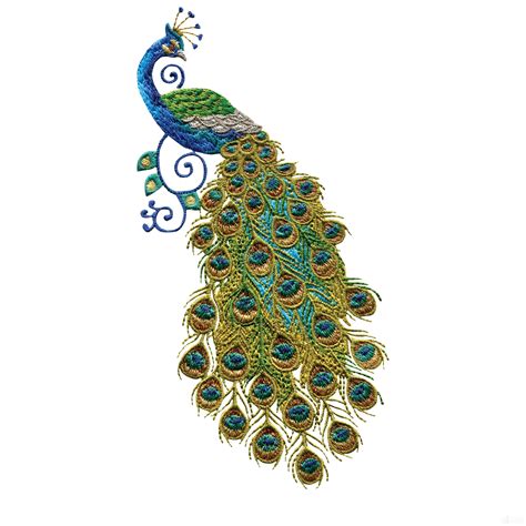 Peacock Embroidery Designs Pattern