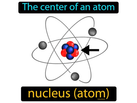 Nucleus Definition & Image | Flippy Flashcards