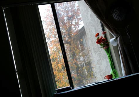 A photo, A thought............: Thought: I always have this quandary....