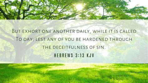 Hebrews 313 Bible Verse Of The Day