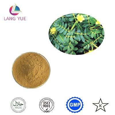 China Customized Tribulus Terrestris Extract Powder Suppliers