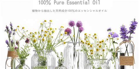 【公式】 Aroma Zibi アロマジビ 公式オンラインストア アロマ専門通販サイト